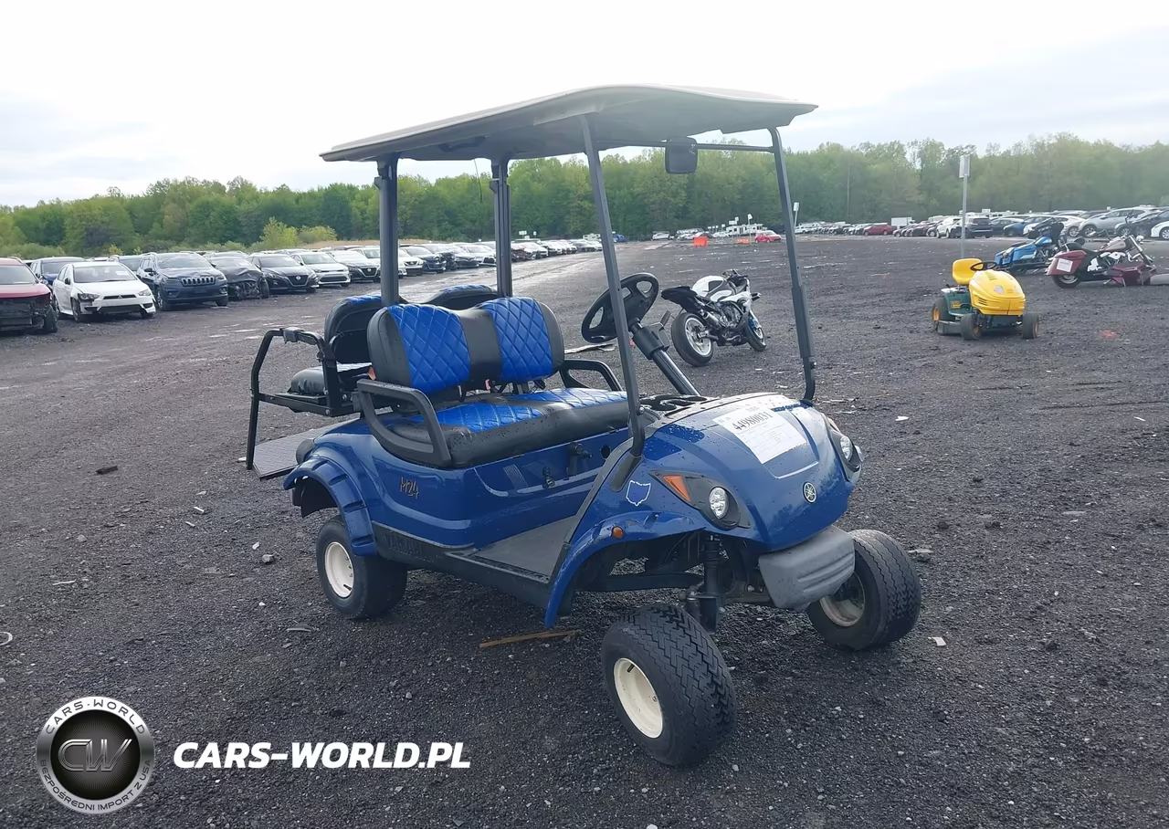 2016 Yamaha Golf Cart