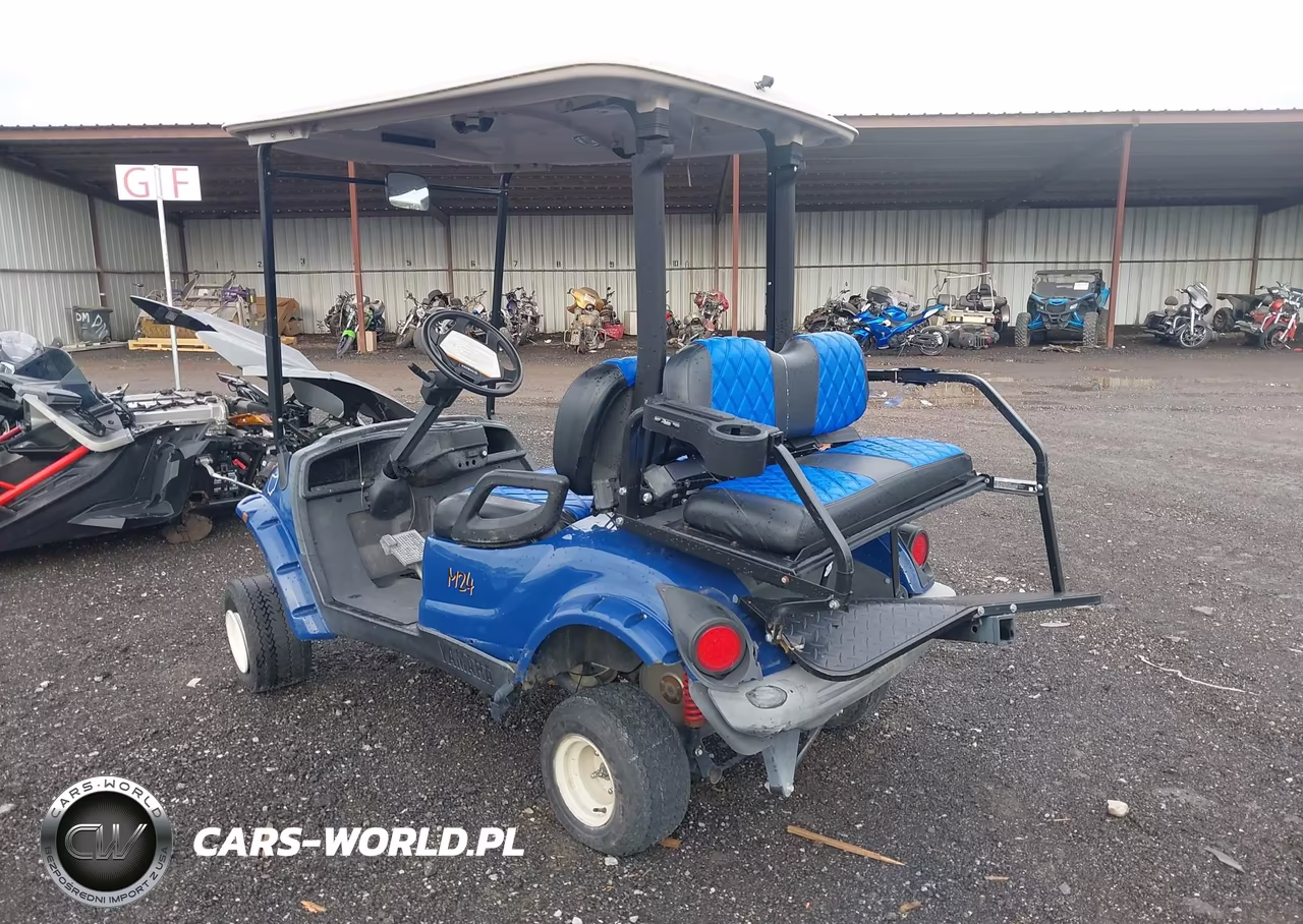 2016 Yamaha Golf Cart VIN:JW8504272 - 3