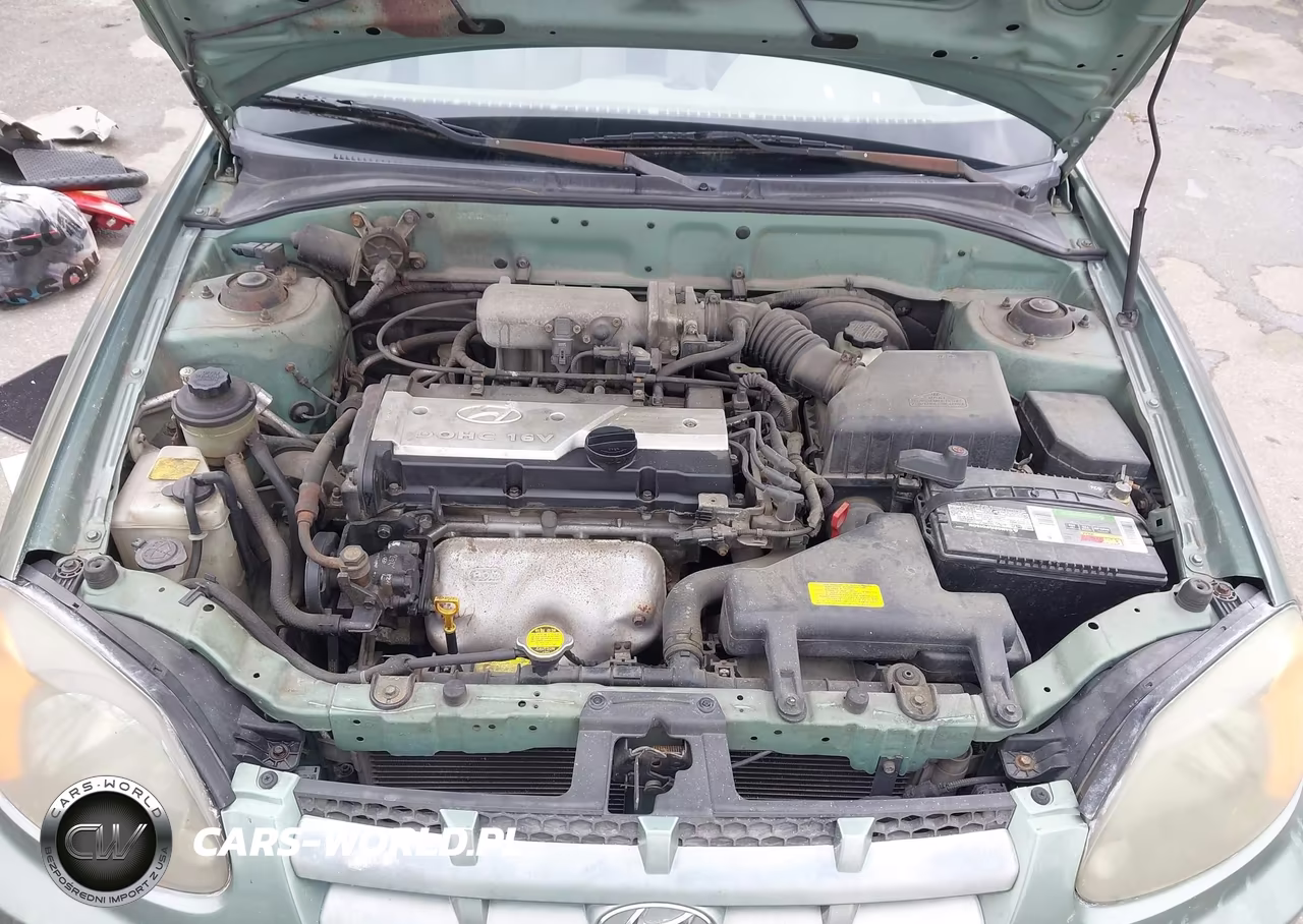 2004 Hyundai Accent Gl-Gt VIN:KMHCG35C74U318527 - 10