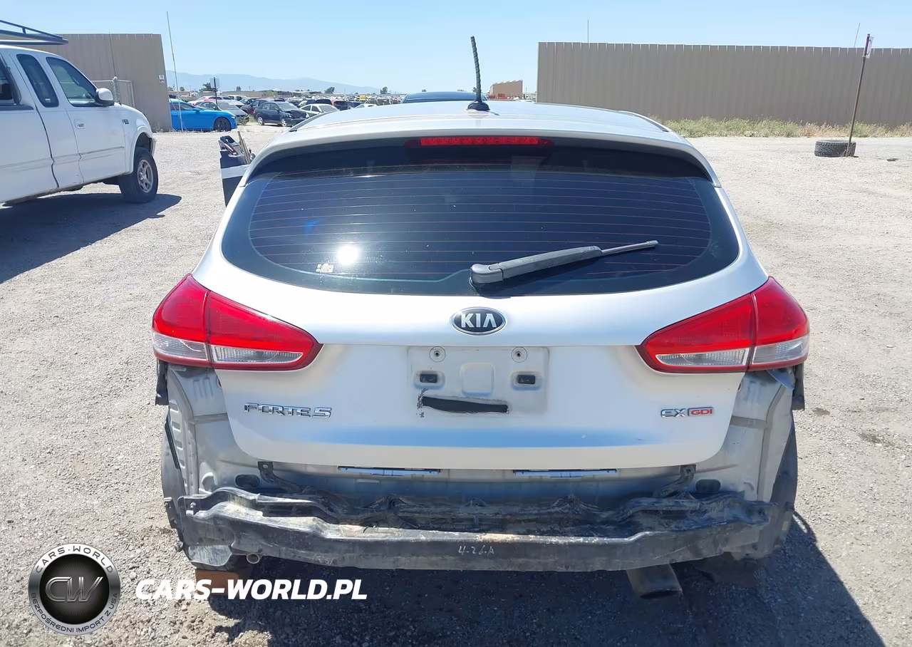 2015 Kia Forte Ex VIN:KNAFX5A8XF5269994 - 17