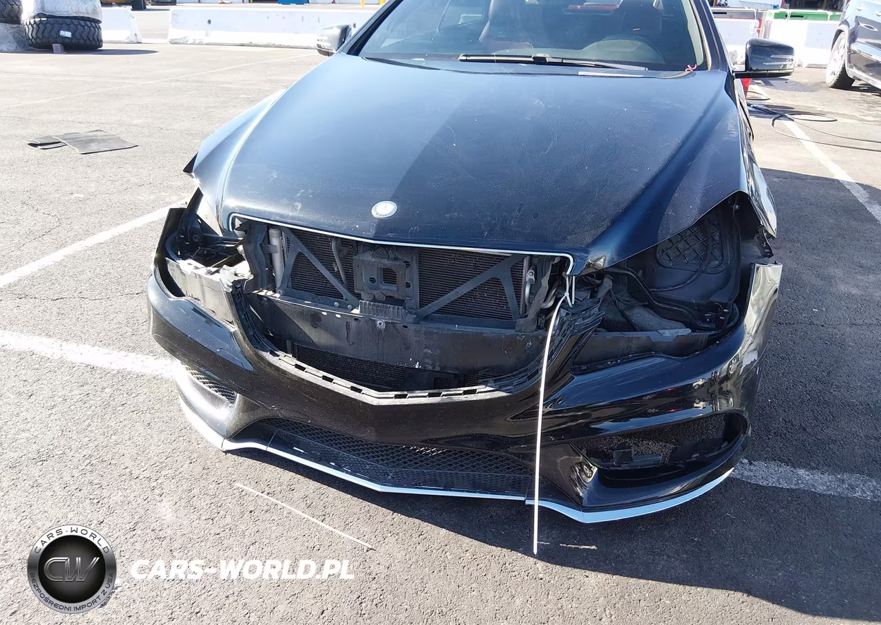 2016 Mercedes-Benz E 400 VIN:WDDKK6FF1GF335489 - 6