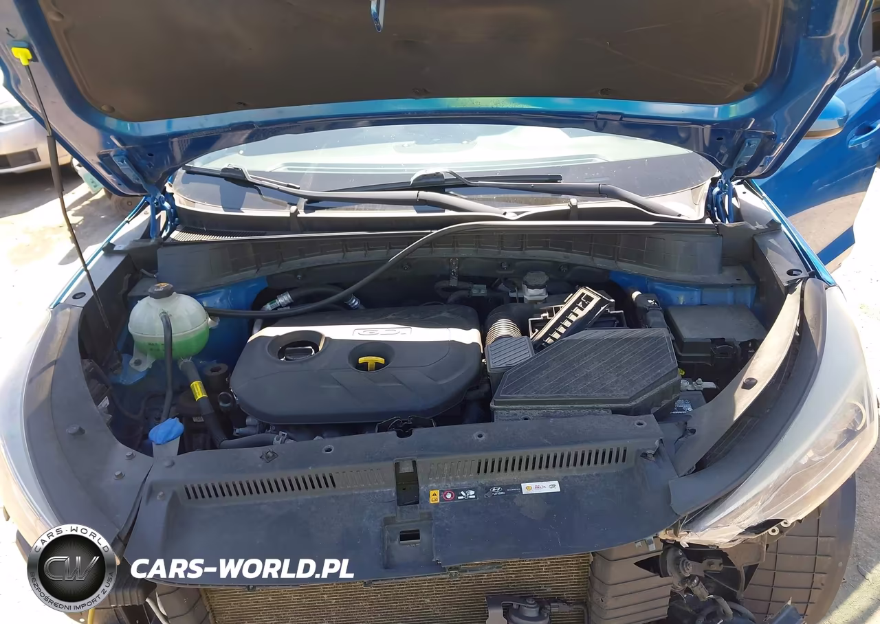 2019 Hyundai Tucson Se VIN:KM8J2CA4XKU924681 - 10