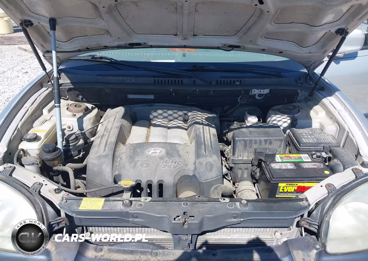 2003 Hyundai Santa Fe Gls-Lx VIN:KM8SC73D13U478198 - 10