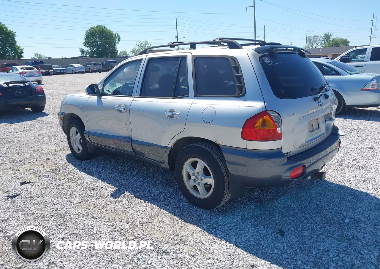 2003 Hyundai Santa Fe Gls-Lx VIN:KM8SC73D13U478198 - 3