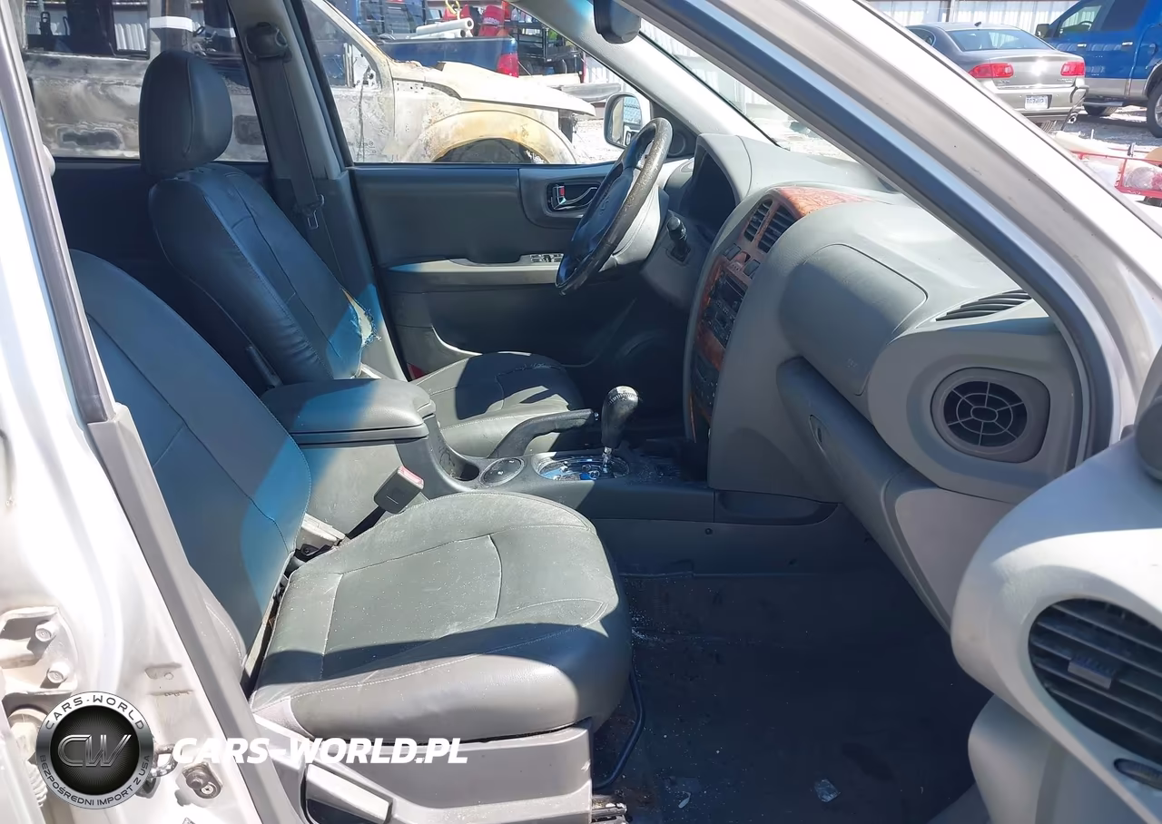 2003 Hyundai Santa Fe Gls-Lx VIN:KM8SC73D13U478198 - 5