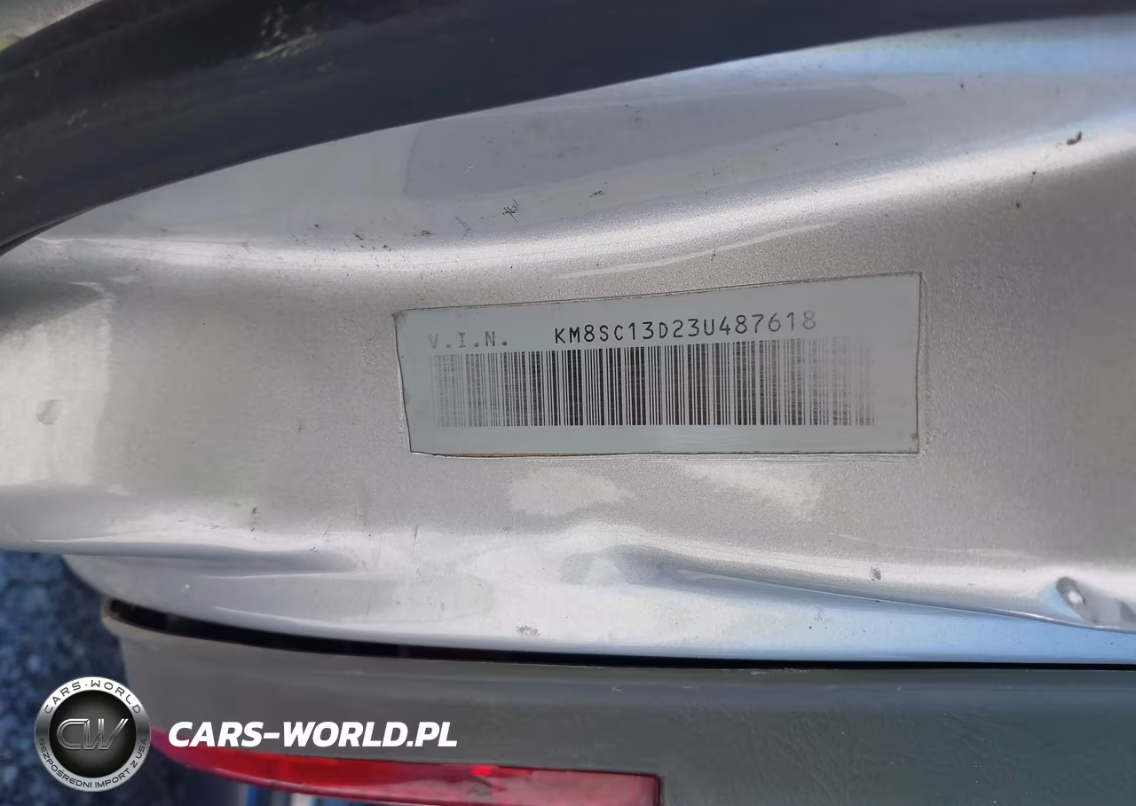 2003 Hyundai Santa Fe Gls-Lx VIN:KM8SC73D13U478198 - 9