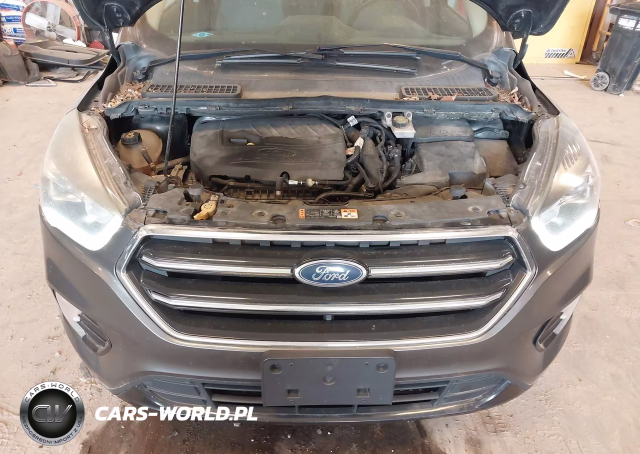2017 Ford Escape Se VIN:1FMCU0GD1HUE66613 - 10