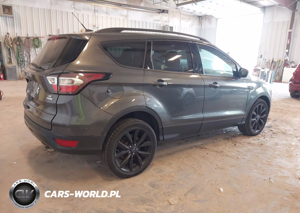 2017 Ford Escape Se VIN:1FMCU0GD1HUE66613 - 4