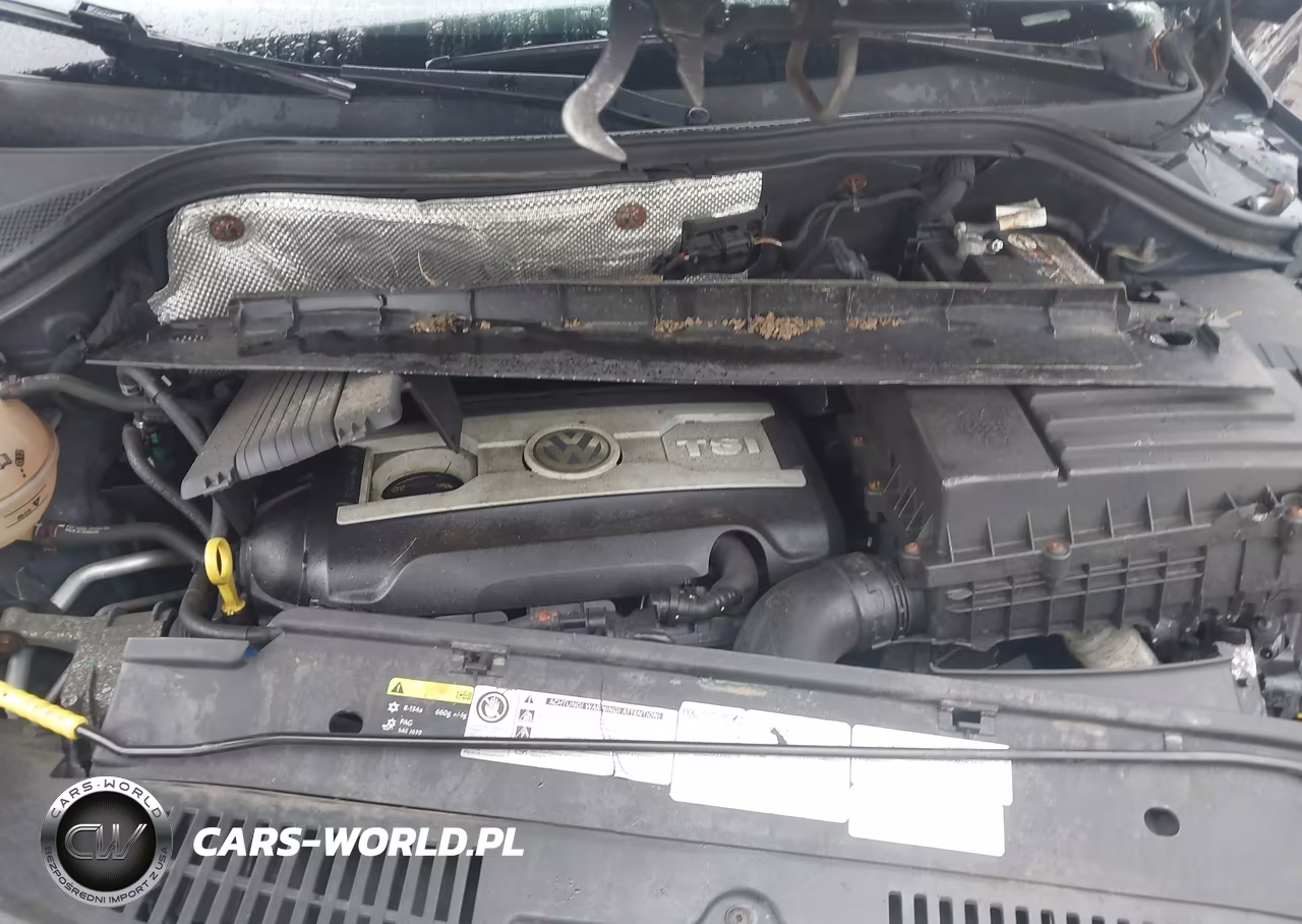 2016 Volkswagen Tiguan Sel VIN:WVGBV7AX0GW510236 - 10