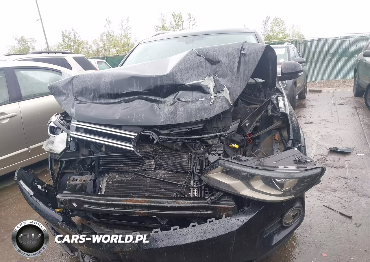 2016 Volkswagen Tiguan Sel VIN:WVGBV7AX0GW510236 - 12
