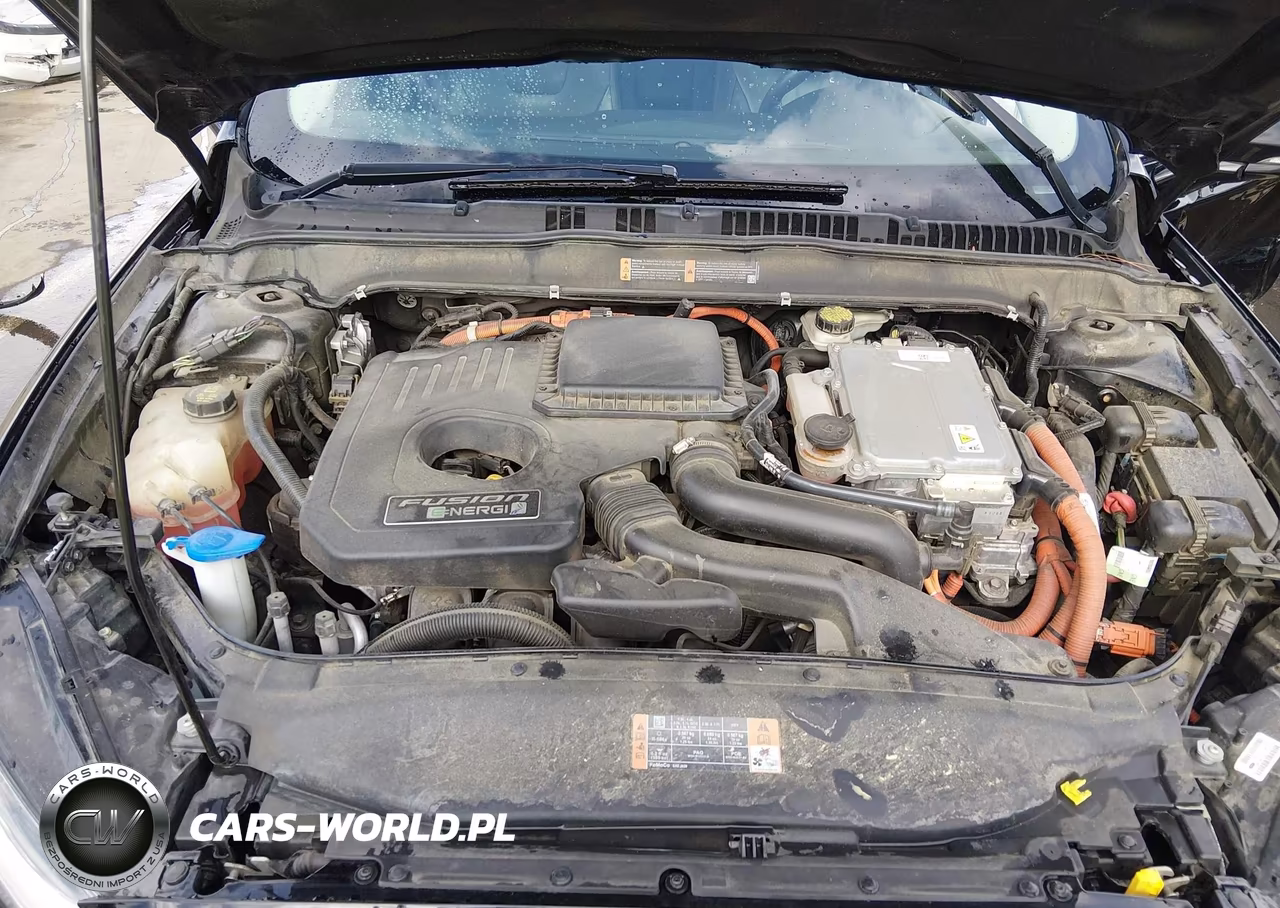2016 Ford Fusion Energi Titanium VIN:3FA6P0SU5GR320792 - 10