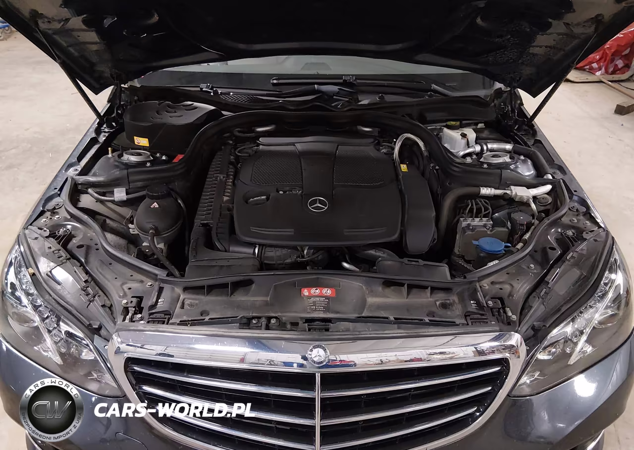 2014 Mercedes-Benz E 350 VIN:WDDHF5KB5EA896204 - 10