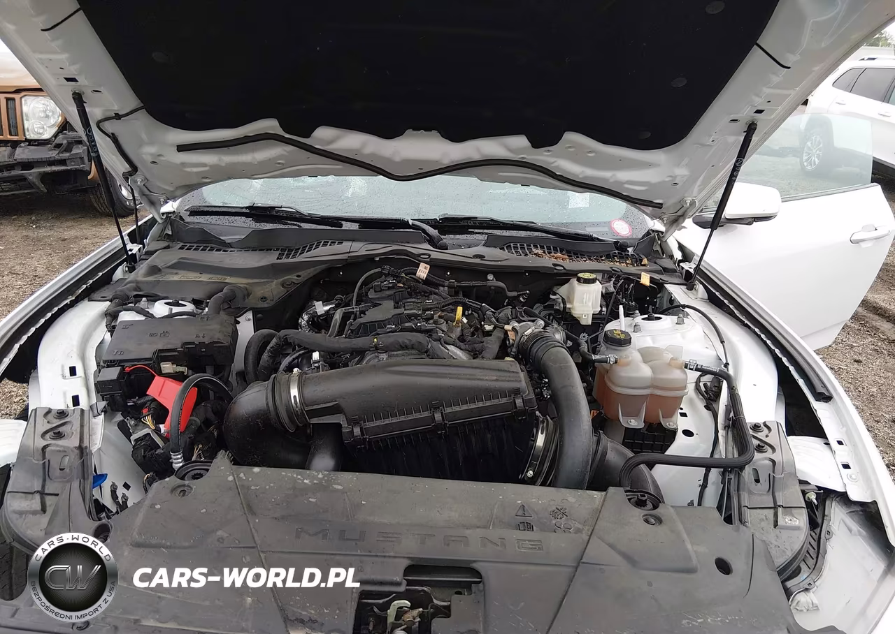 2024 Ford Mustang Ecoboost Fastback VIN:1FA6P8TH6R5107324 - 10