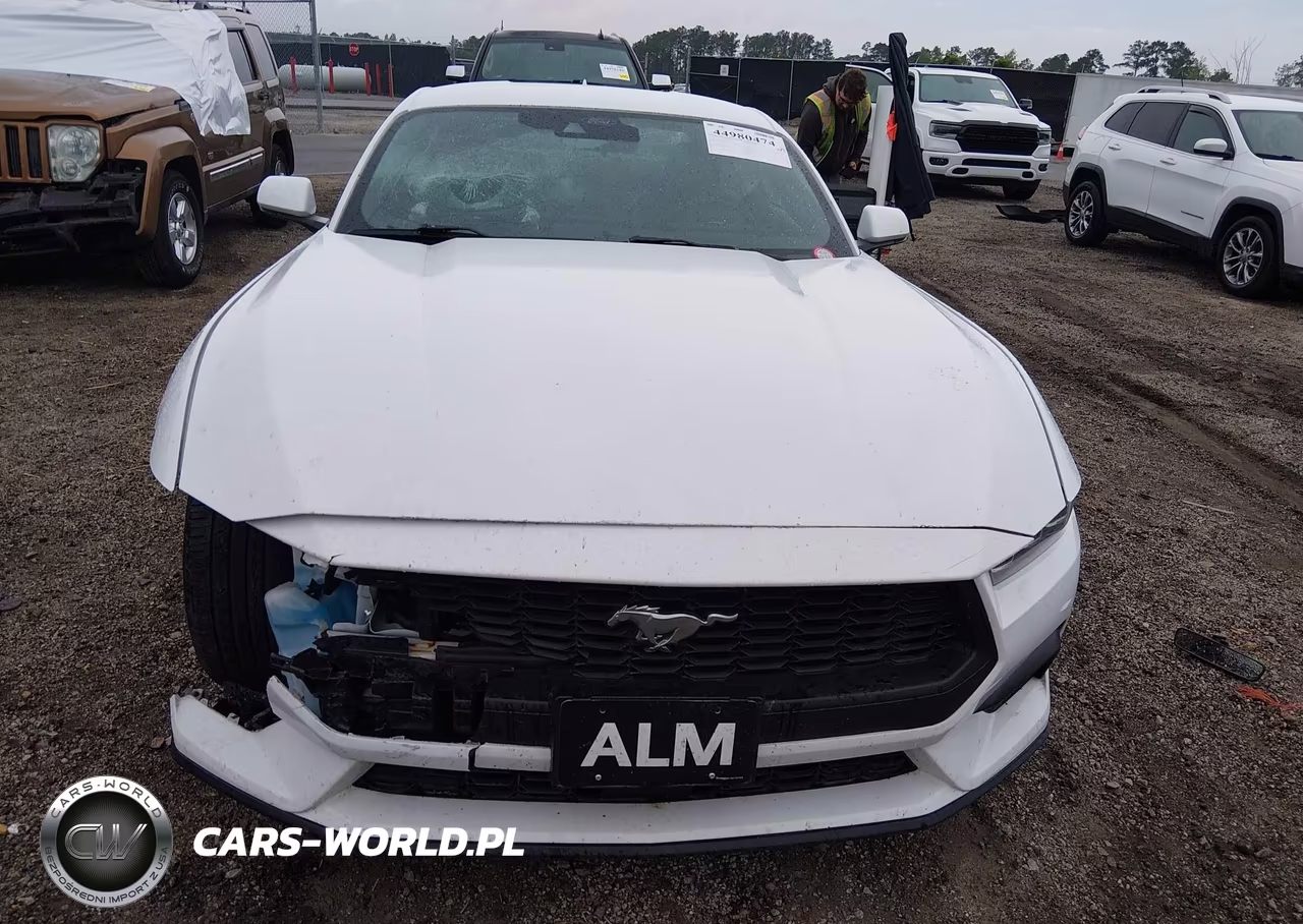 2024 Ford Mustang Ecoboost Fastback VIN:1FA6P8TH6R5107324 - 12