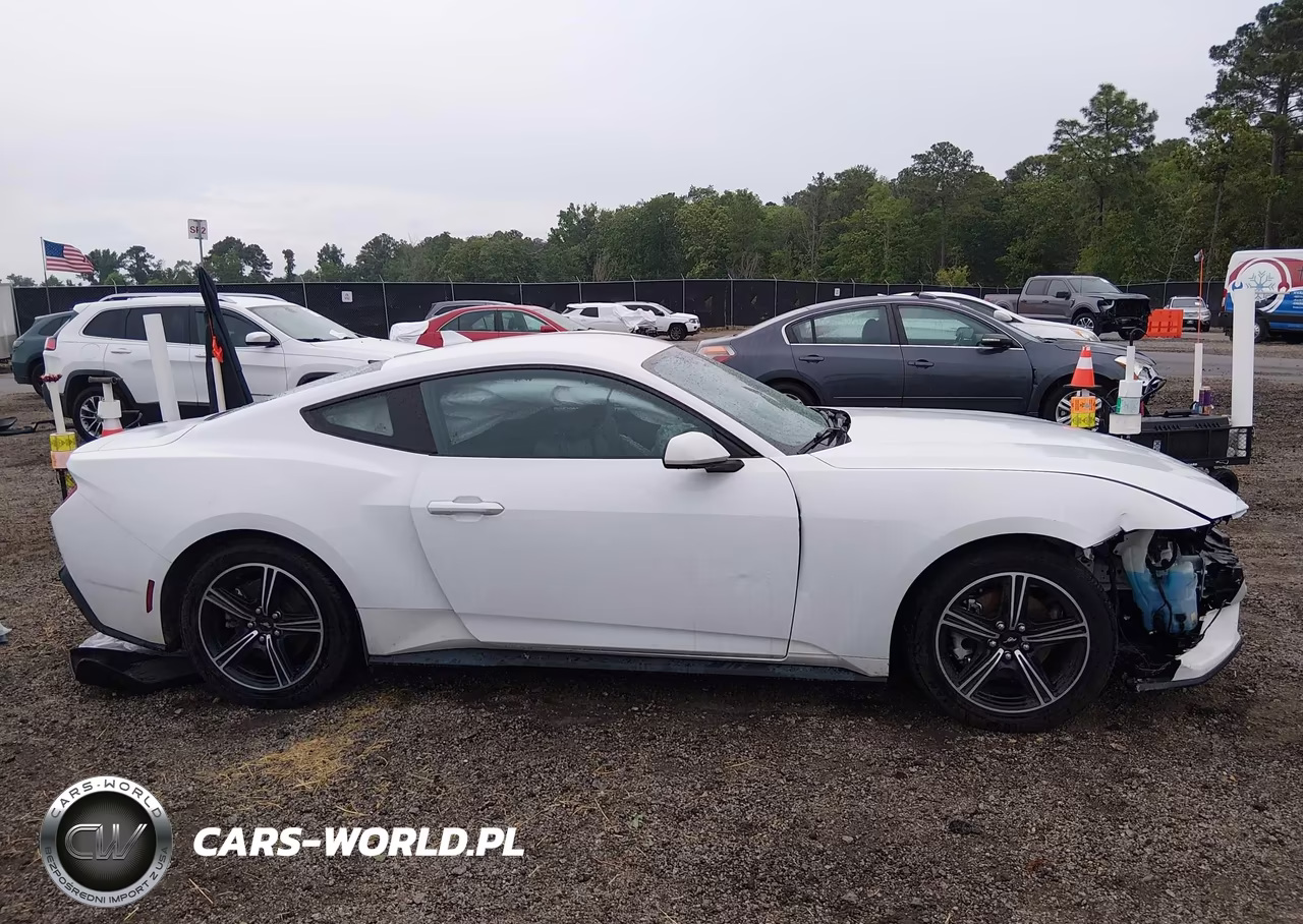 2024 Ford Mustang Ecoboost Fastback VIN:1FA6P8TH6R5107324 - 13