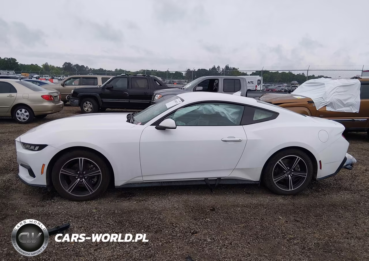 2024 Ford Mustang Ecoboost Fastback VIN:1FA6P8TH6R5107324 - 14