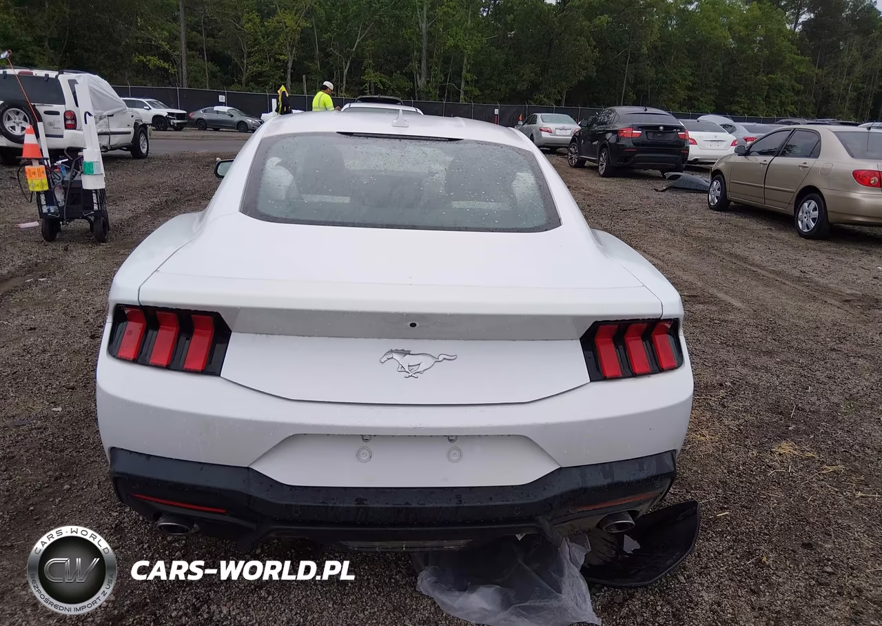 2024 Ford Mustang Ecoboost Fastback VIN:1FA6P8TH6R5107324 - 16