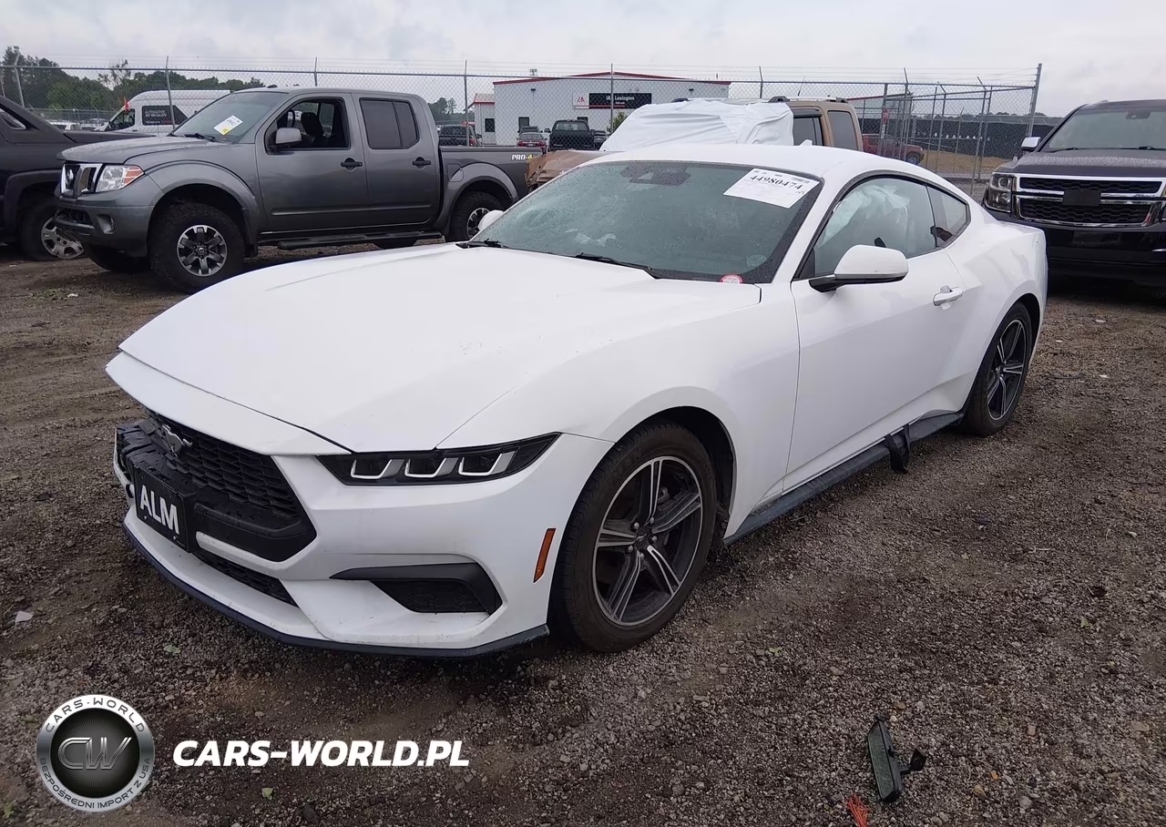 2024 Ford Mustang Ecoboost Fastback VIN:1FA6P8TH6R5107324 - 2