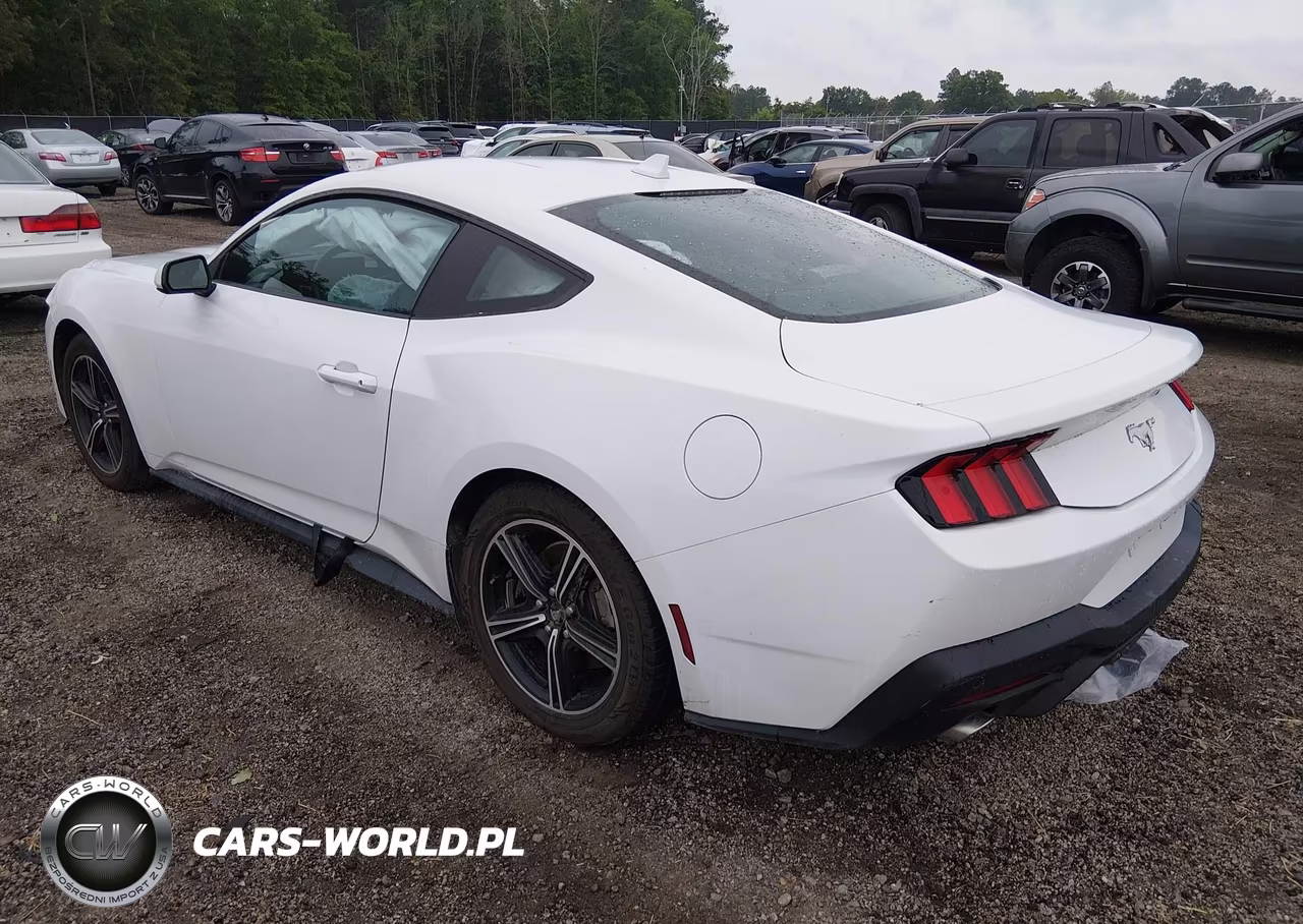 2024 Ford Mustang Ecoboost Fastback VIN:1FA6P8TH6R5107324 - 3