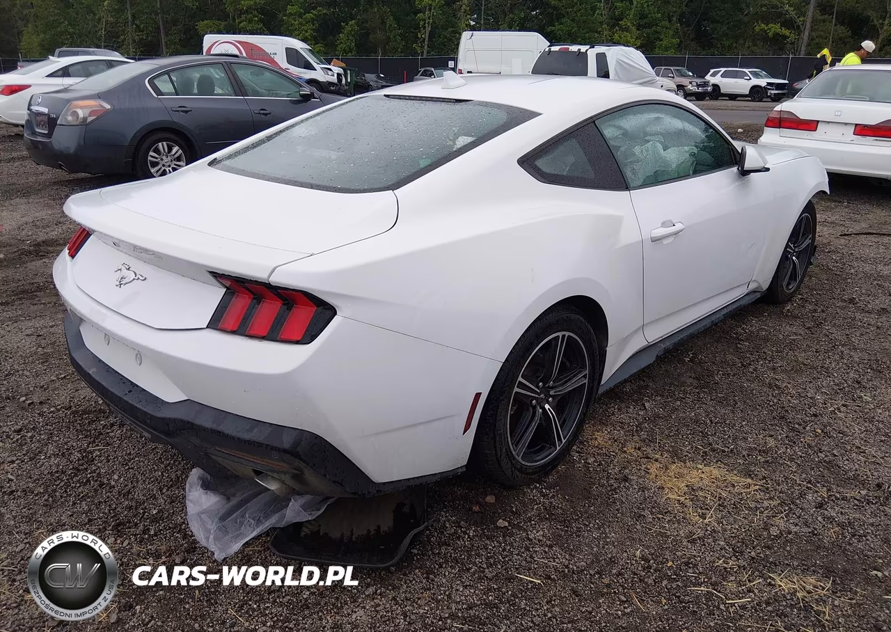 2024 Ford Mustang Ecoboost Fastback VIN:1FA6P8TH6R5107324 - 4