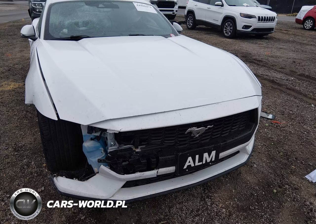 2024 Ford Mustang Ecoboost Fastback VIN:1FA6P8TH6R5107324 - 6