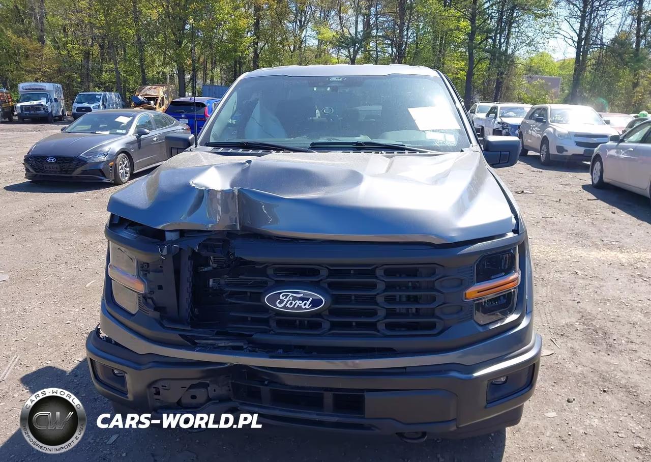 2024 Ford F-150 Stx VIN:1FTEW2LP0RFB49169 - 12