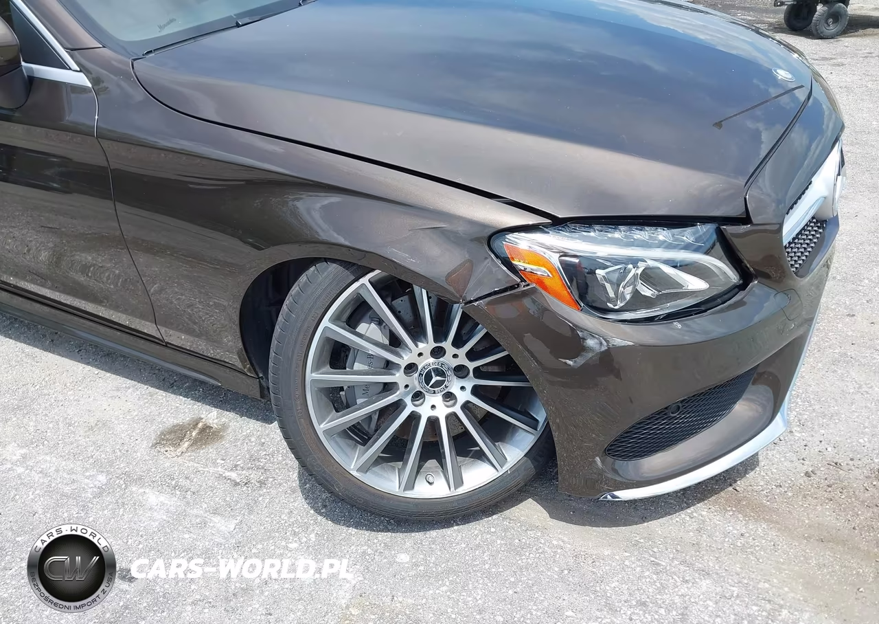 2017 Mercedes-Benz C 300 VIN:WDDWK4JB7HF527799 - 6