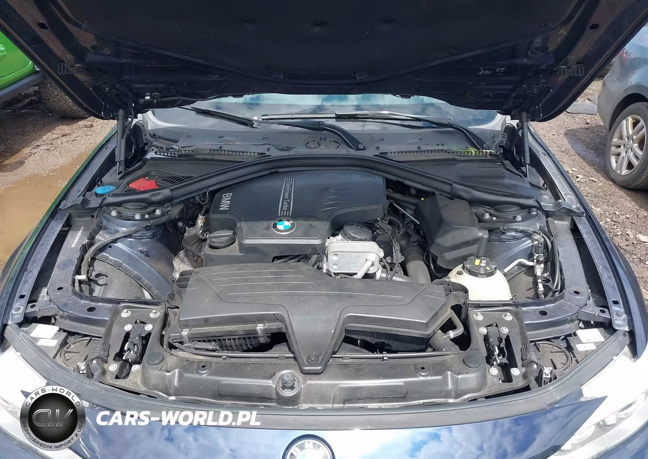 2016 BMW 428I Gran Coupe VIN:WBA4A9C53GG695177 - 10