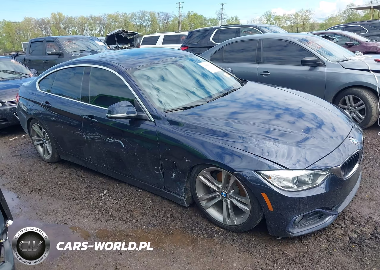 2016 BMW 428I Gran Coupe VIN:WBA4A9C53GG695177 - 13