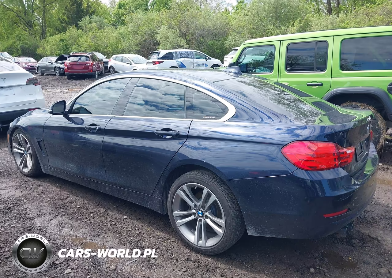 2016 BMW 428I Gran Coupe VIN:WBA4A9C53GG695177 - 14