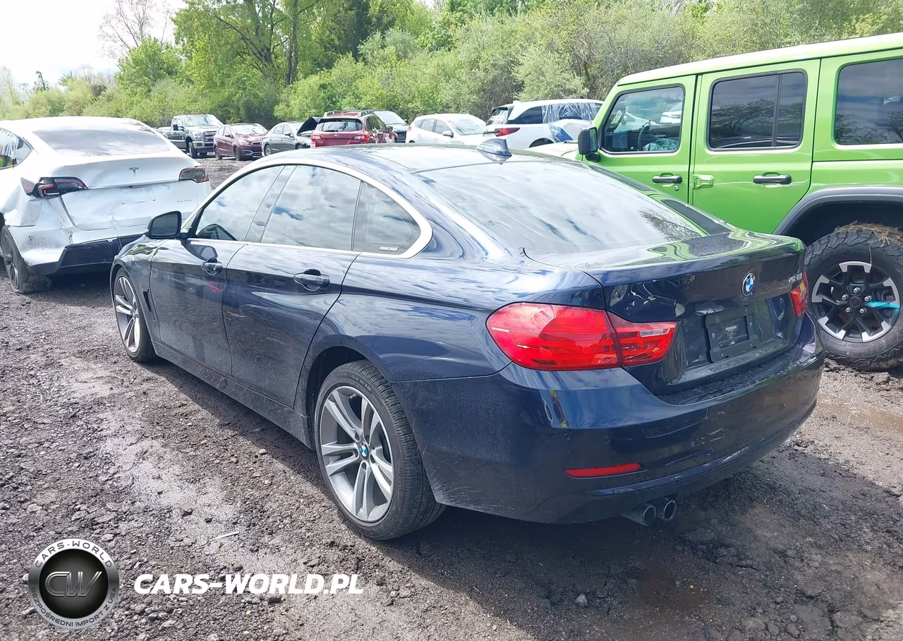 2016 BMW 428I Gran Coupe VIN:WBA4A9C53GG695177 - 3