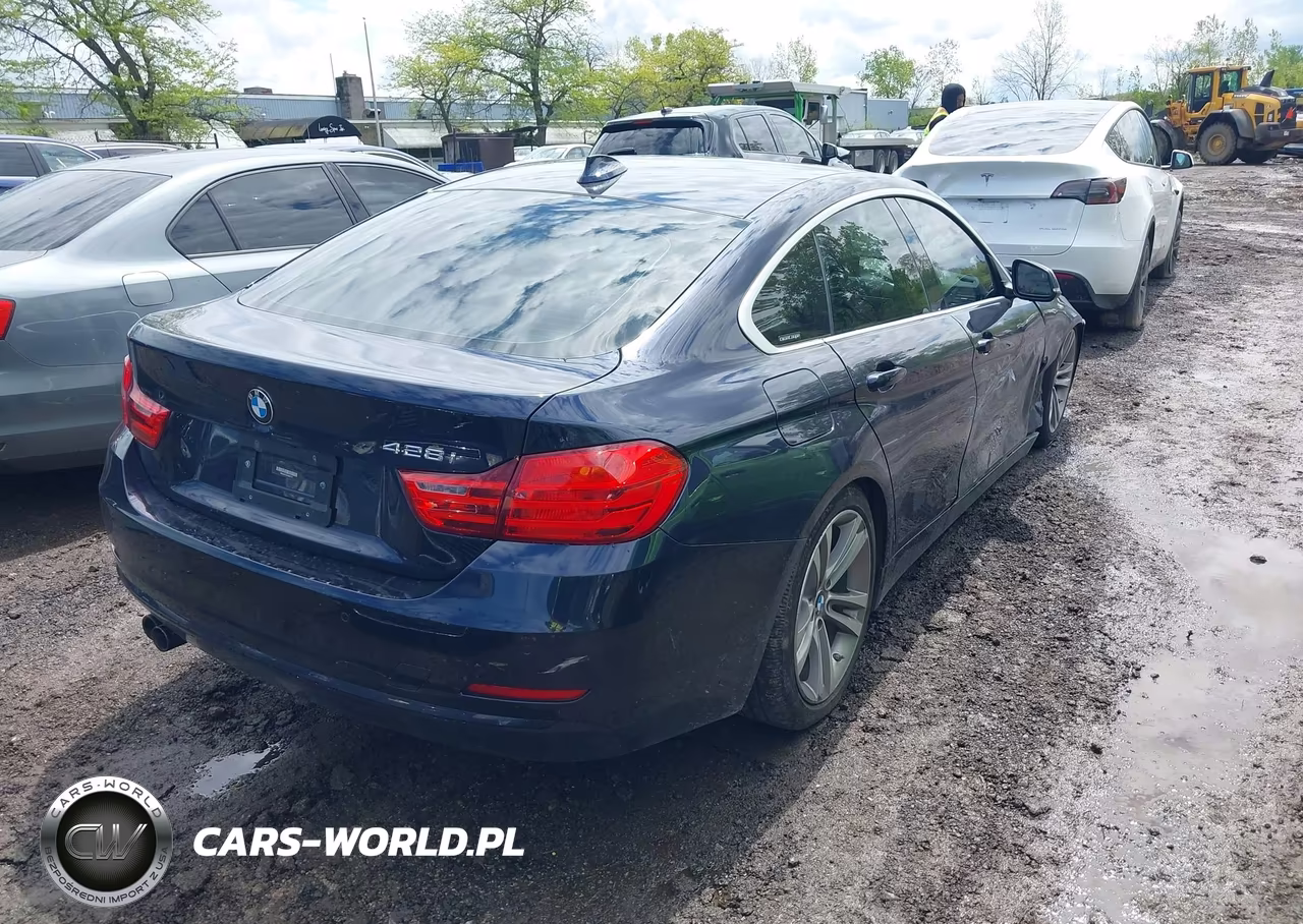 2016 BMW 428I Gran Coupe VIN:WBA4A9C53GG695177 - 4