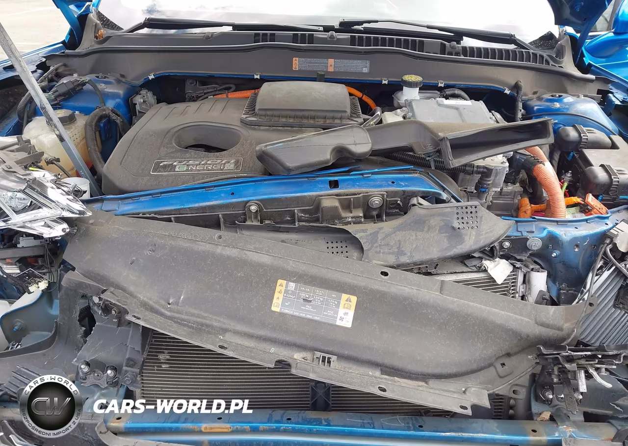 2019 Ford Fusion Energi Titanium VIN:3FA6P0SU0KR173984 - 10
