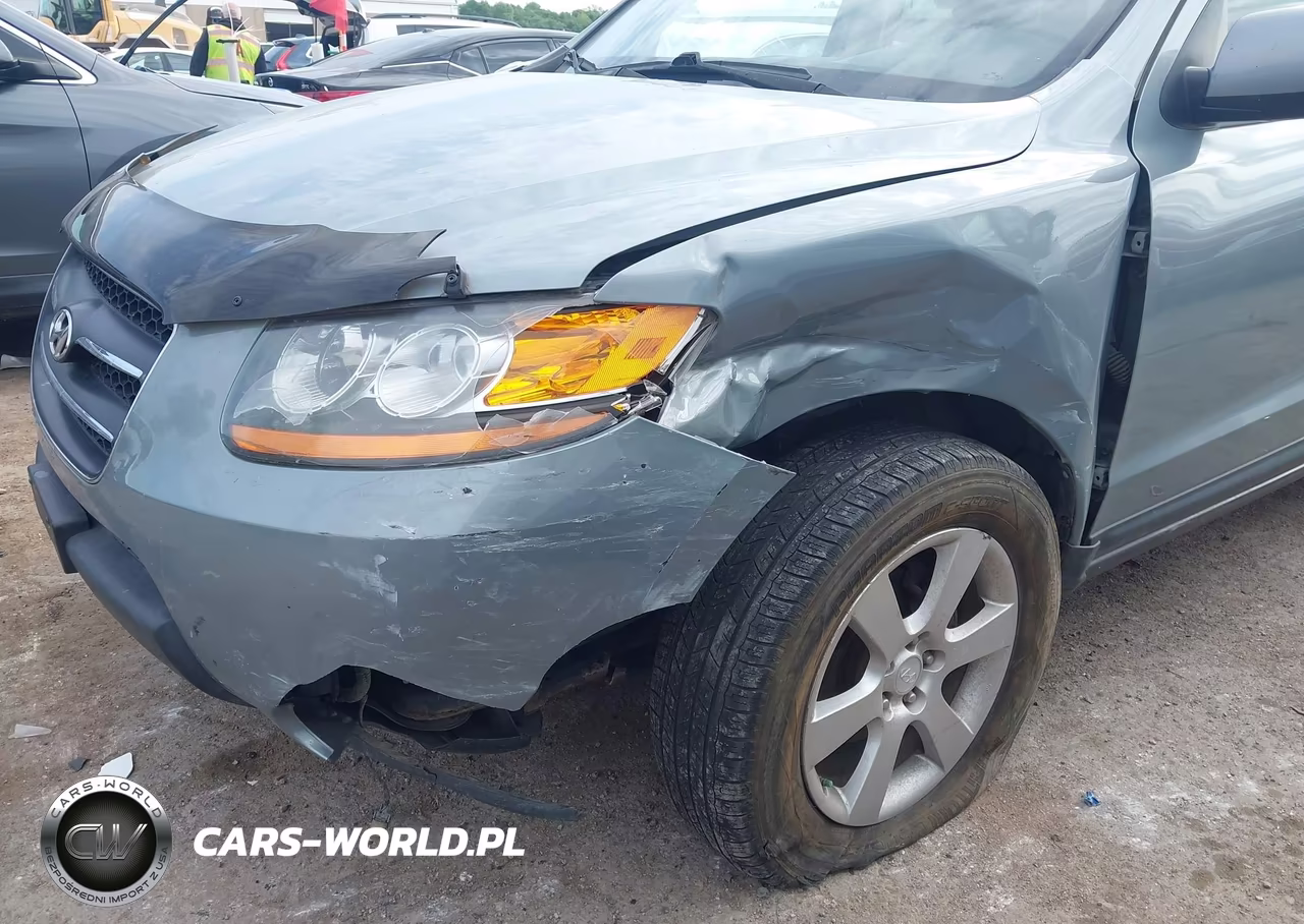 2008 Hyundai Santa Fe Limited-Se VIN:5NMSH73E98H201666 - 6