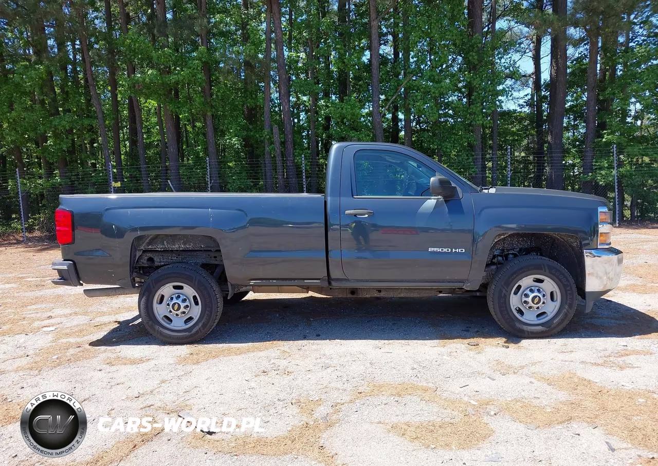 2018 Chevrolet Silverado 2500Hd Wt VIN:1GC0CUEG4JZ307334 - 13