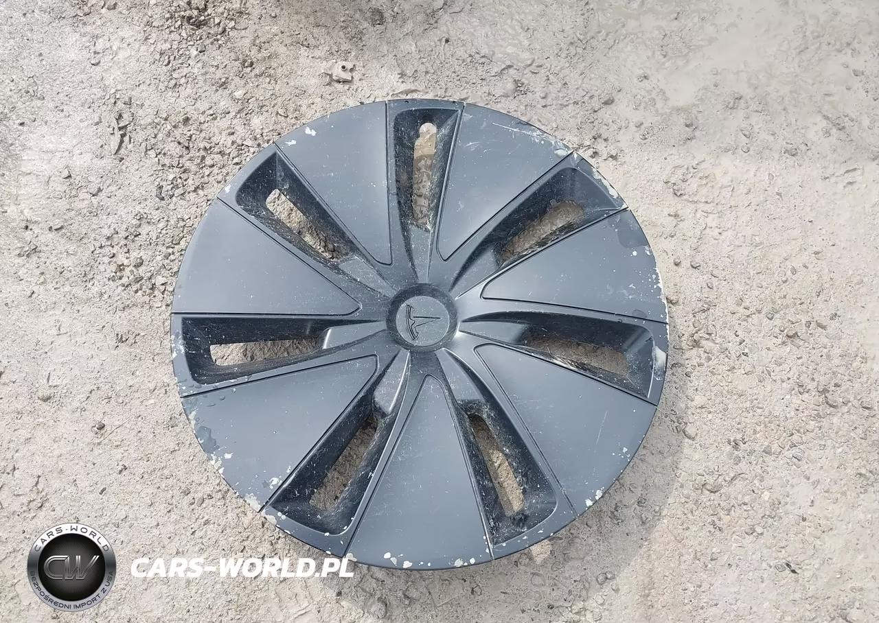 2025 Tesla Model 3 Long Range Rear-Wheel Drive-Standard Rear-Wheel Drive VIN:5YJ3E1EA7SF005416 - 12