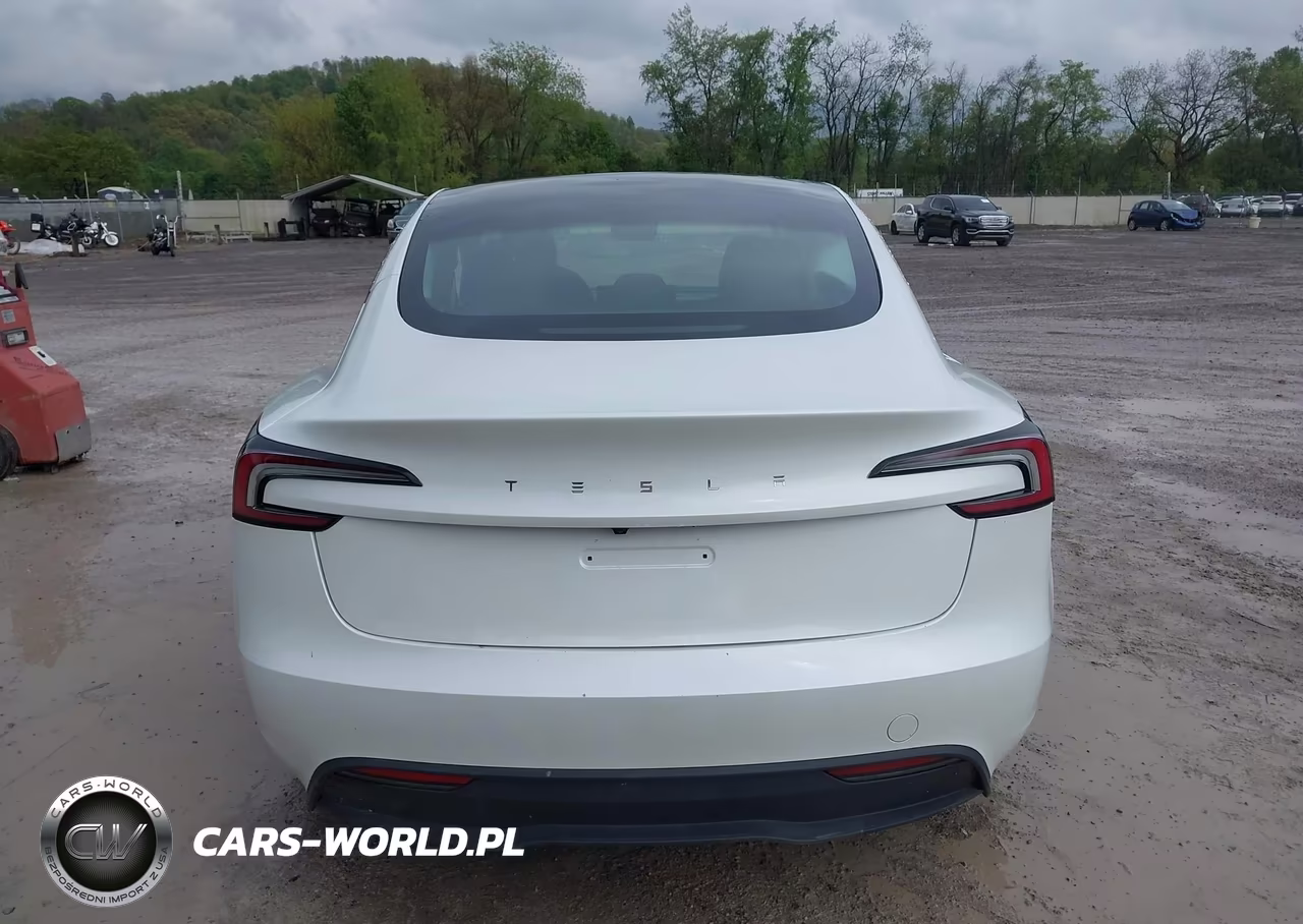 2025 Tesla Model 3 Long Range Rear-Wheel Drive-Standard Rear-Wheel Drive VIN:5YJ3E1EA7SF005416 - 17