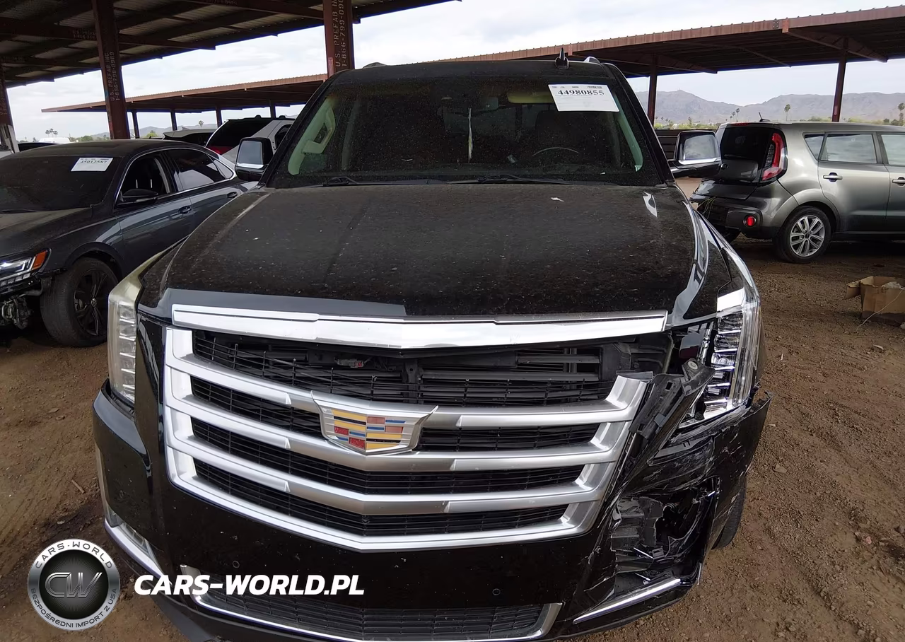 2016 Cadillac Escalade Luxury Collection VIN:1GYS4BKJ5GR188030 - 12