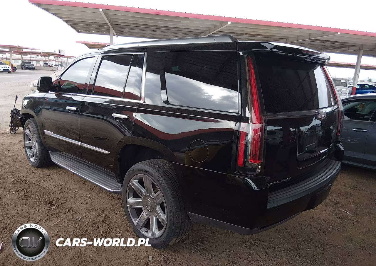 2016 Cadillac Escalade Luxury Collection VIN:1GYS4BKJ5GR188030 - 3