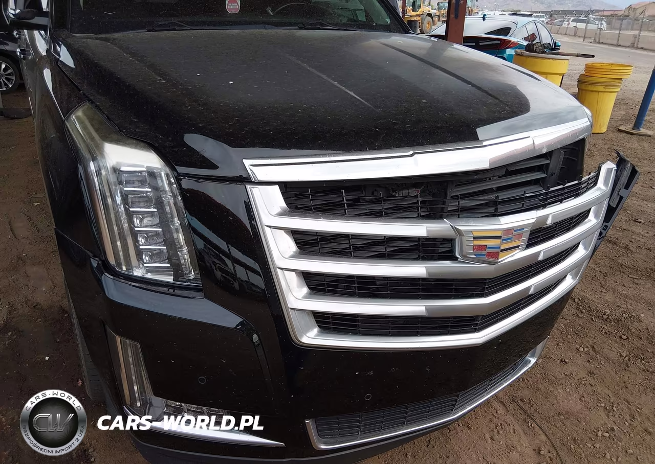 2016 Cadillac Escalade Luxury Collection VIN:1GYS4BKJ5GR188030 - 6