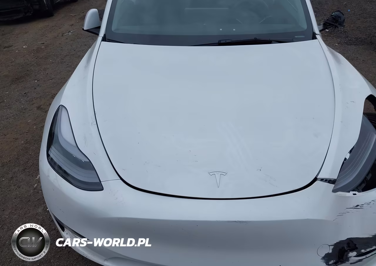 2025 Tesla Model Y Long Range Dual Motor Rear-Wheel Drive VIN:7SAYGDEDXSA374010 - 10