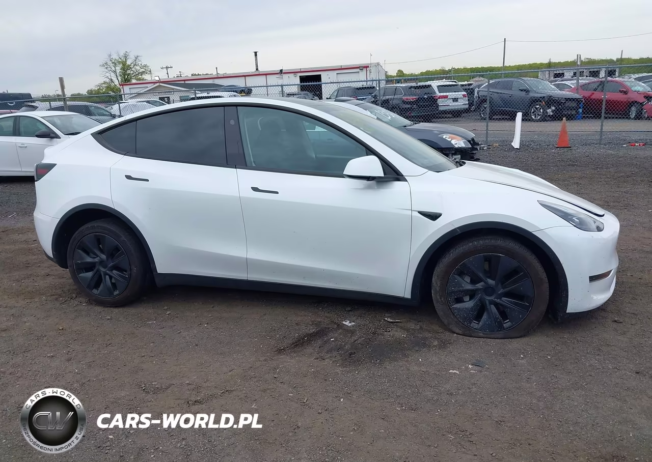 2025 Tesla Model Y Long Range Dual Motor Rear-Wheel Drive VIN:7SAYGDEDXSA374010 - 12