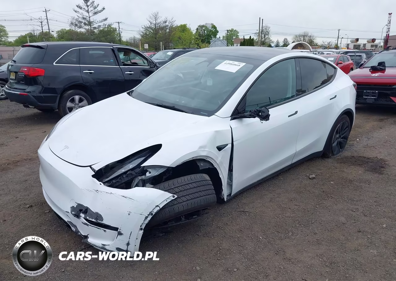 2025 Tesla Model Y Long Range Dual Motor Rear-Wheel Drive VIN:7SAYGDEDXSA374010 - 2