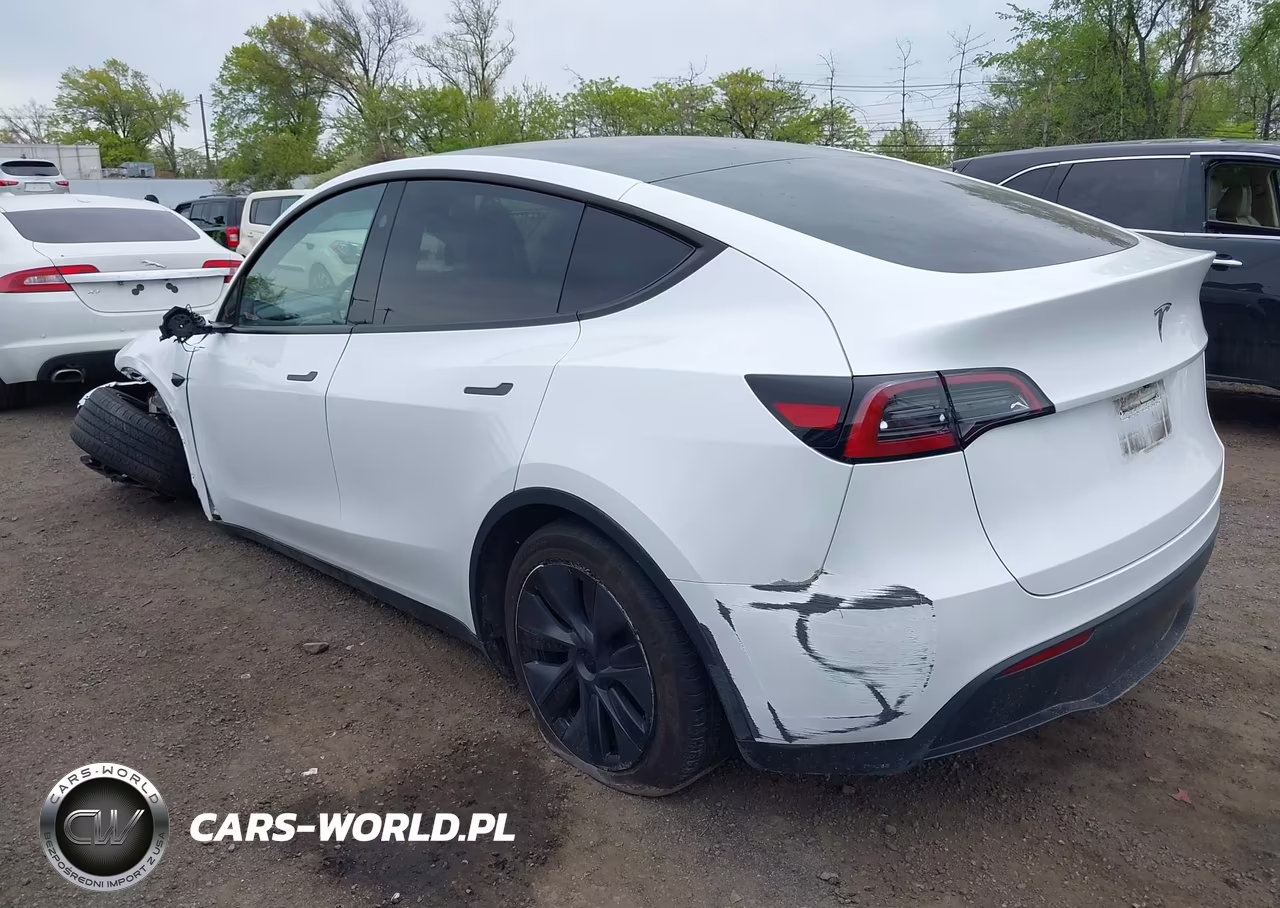 2025 Tesla Model Y Long Range Dual Motor Rear-Wheel Drive VIN:7SAYGDEDXSA374010 - 3