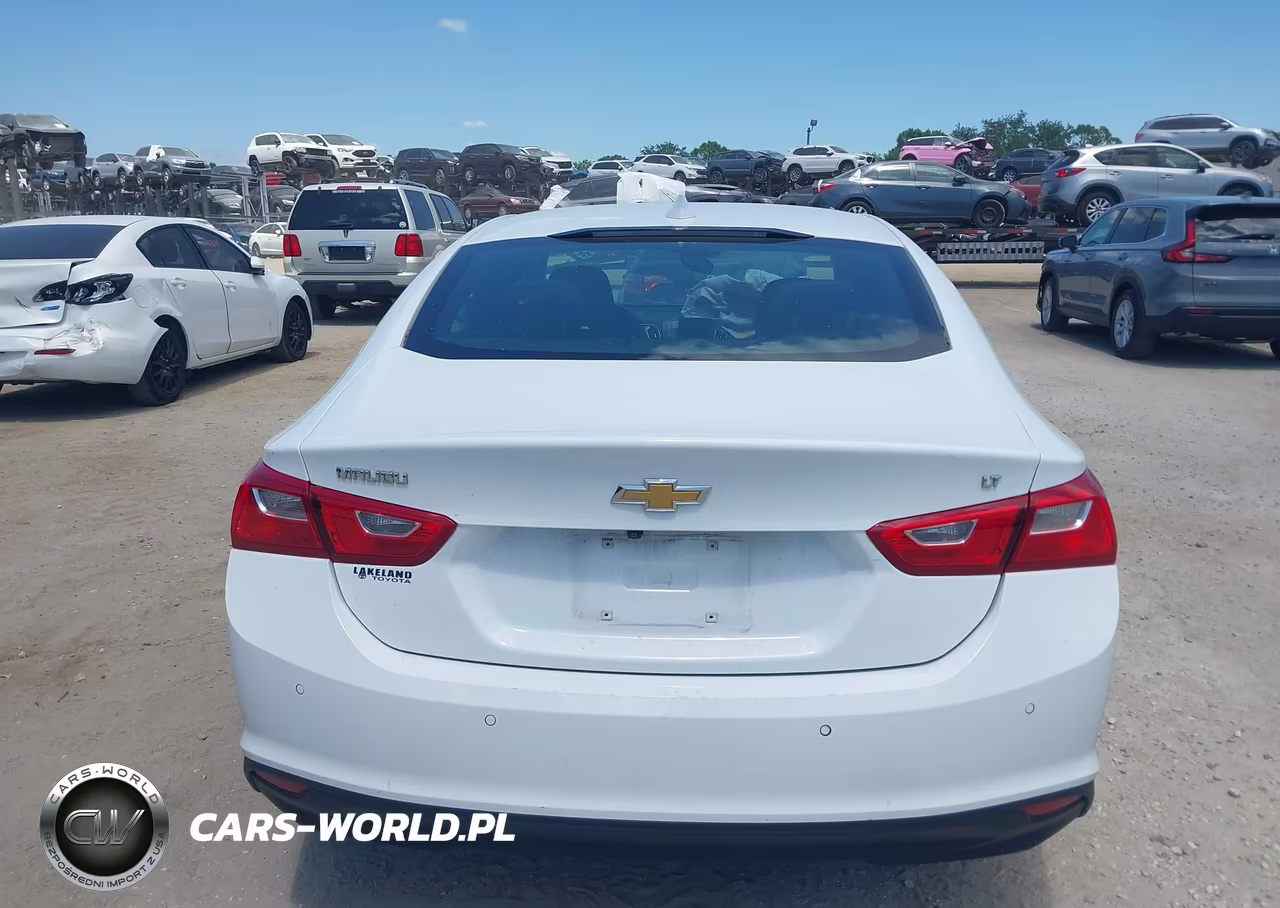 2023 Chevrolet Malibu Fwd 1Lt VIN:1G1ZD5ST4PF135644 - 17