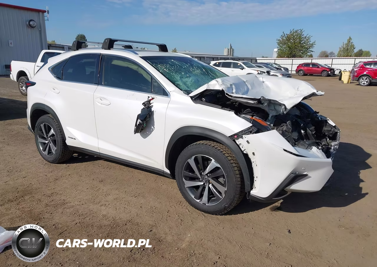 2019 Lexus Nx 300H