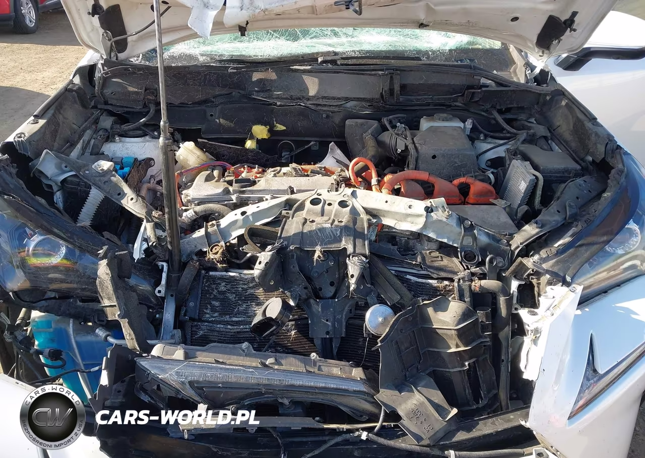2019 Lexus Nx 300H VIN:JTJBJRBZXK2104862 - 10
