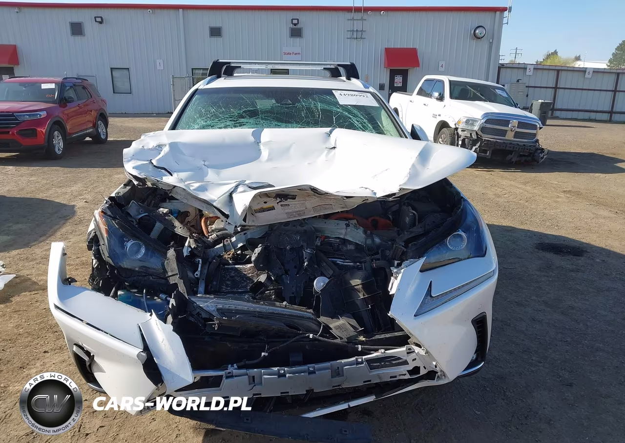 2019 Lexus Nx 300H VIN:JTJBJRBZXK2104862 - 12
