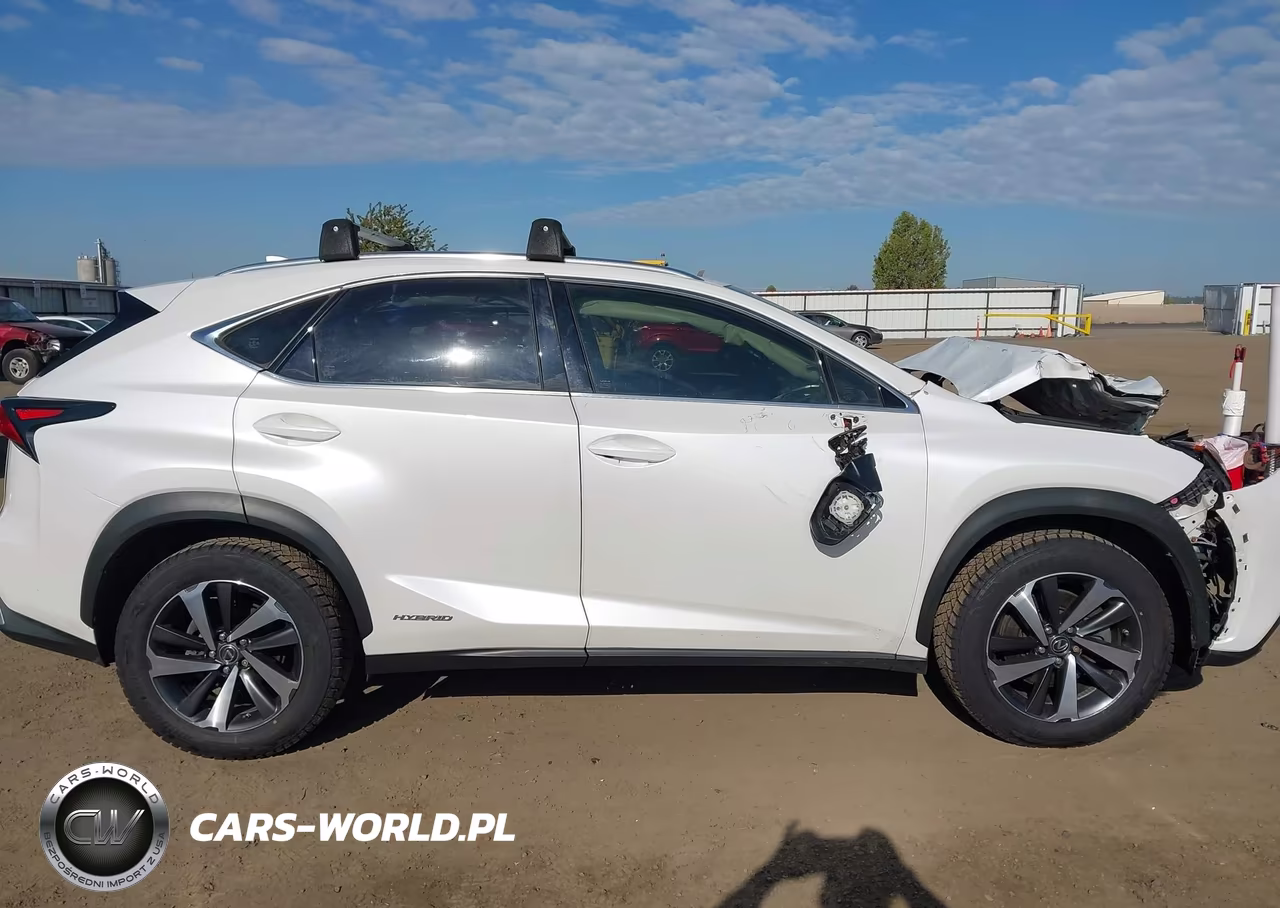2019 Lexus Nx 300H VIN:JTJBJRBZXK2104862 - 13