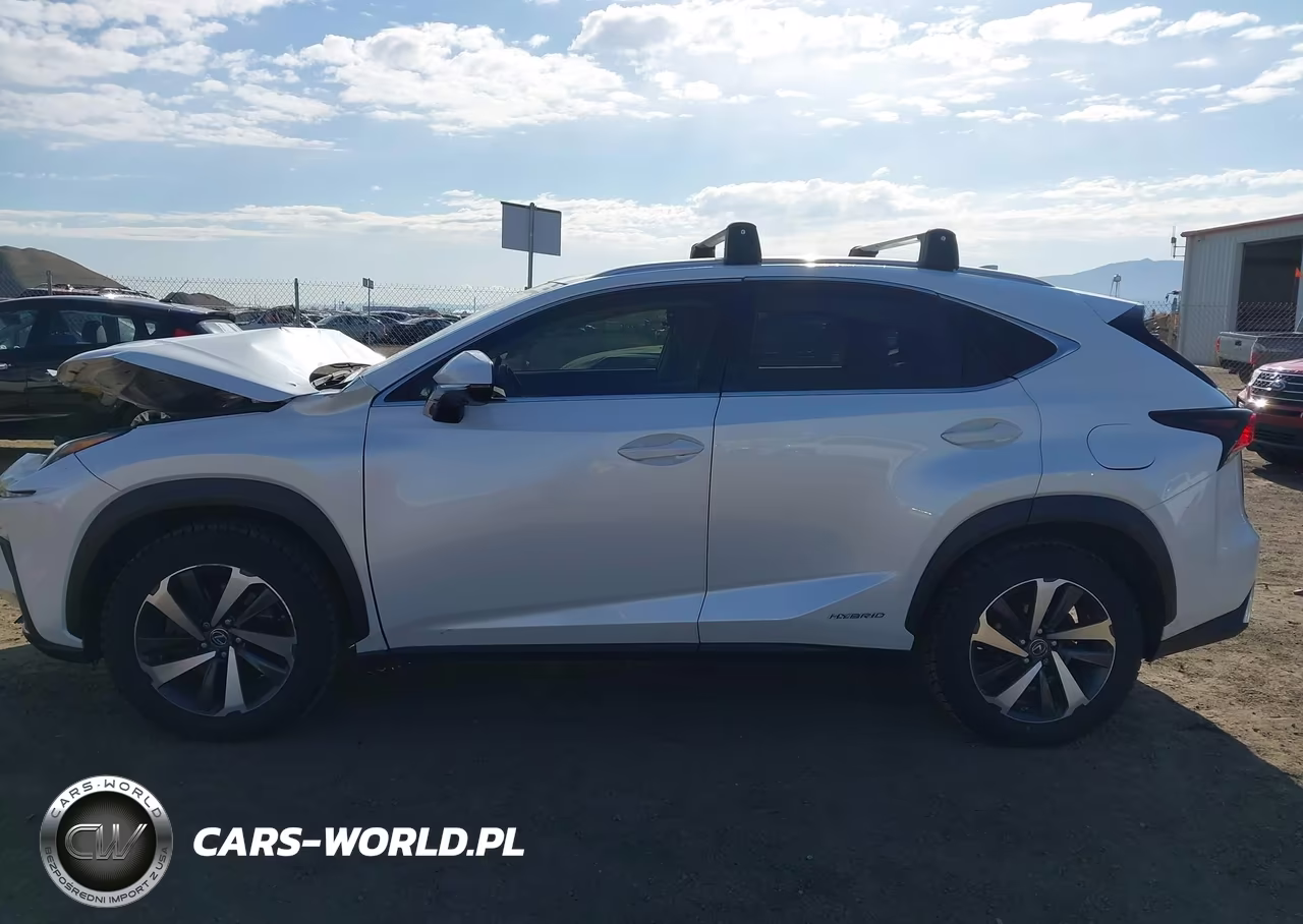 2019 Lexus Nx 300H VIN:JTJBJRBZXK2104862 - 14